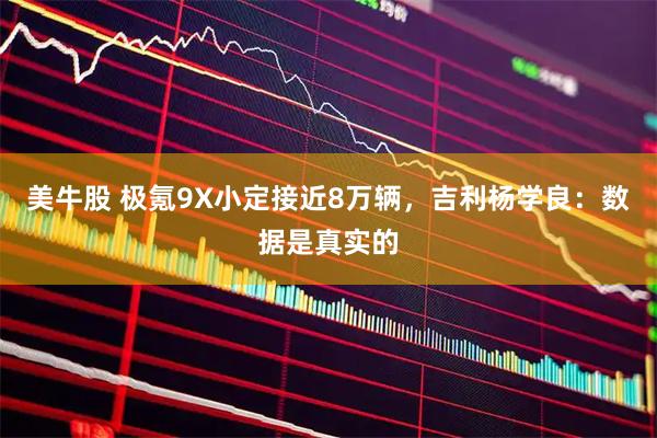 美牛股 极氪9X小定接近8万辆，吉利杨学良：数据是真实的