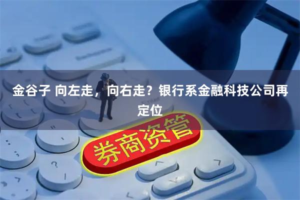 金谷子 向左走，向右走？银行系金融科技公司再定位
